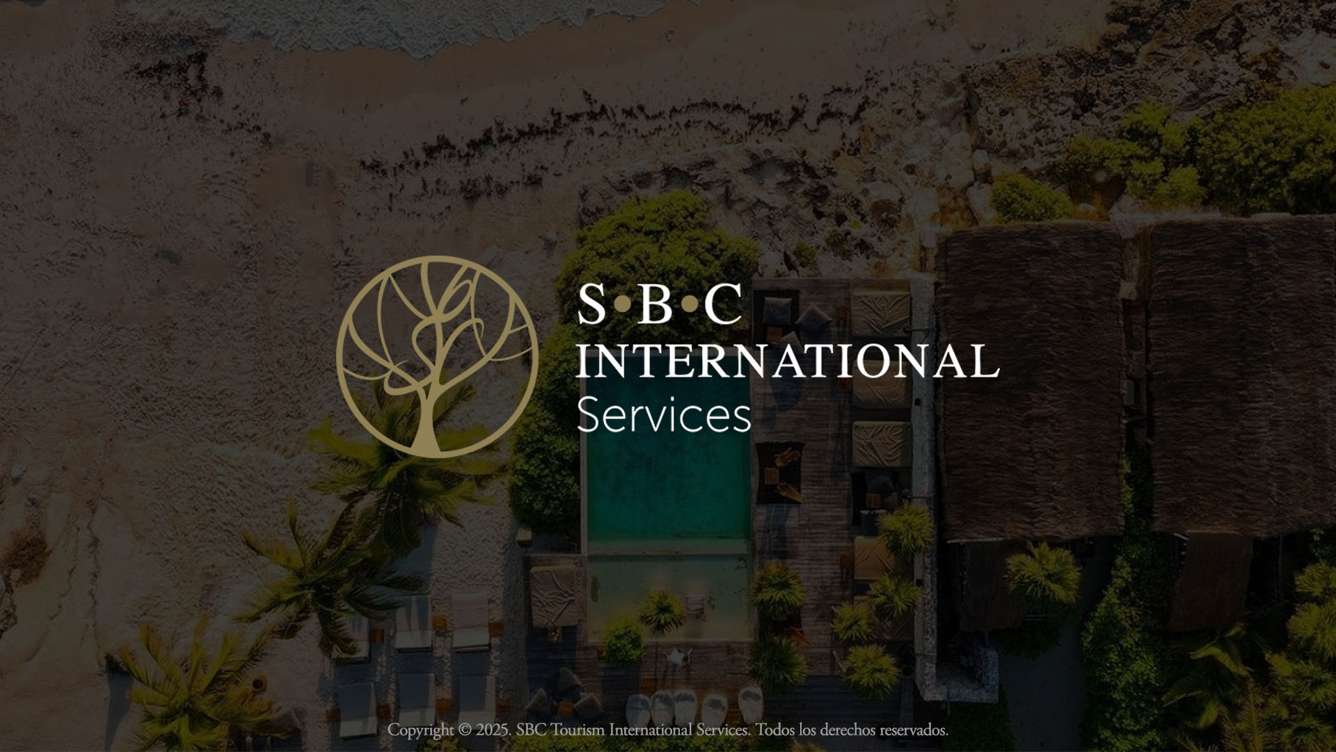 Representación DMCs o Receptivos